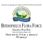 Бифидофилус Флора Форс - Bifidophilus Flora Force