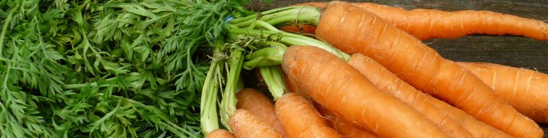 В моркови содержится много пектиновых веществ, которые помогают понизить уровень холестерина в крови