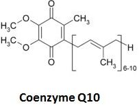 Сильный антиоксидант коэнзим Q10