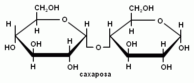 сахароза – это молекула, которая содержит 2 молекулы - глюкоза и фруктоза