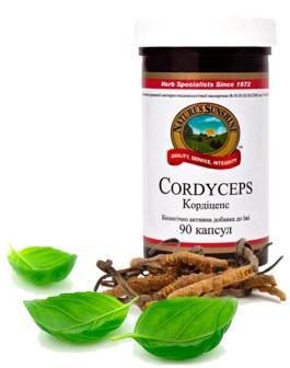 Cordyceps & CoQ10
