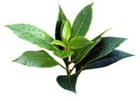 Применение при суставных болях