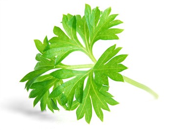 Deficitul de calciu este flagelul timpului nostru