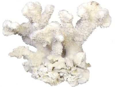 Compoziție (1 doză - lingură de măsurare = 1,5 g):