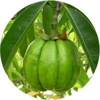 Importanța proteinelor