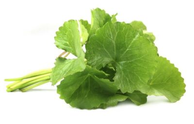 Состав - 1 капсула: