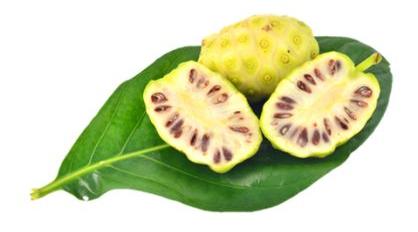 De unde provine Noni?