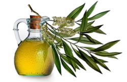 Crema pentru picioare și picioare