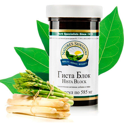 Hista Block (Гиста Блок) - 2