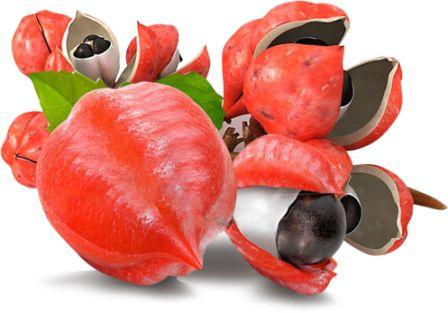 Pe drumul către obținerea energiei