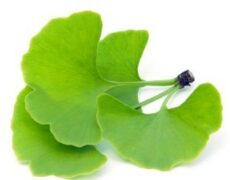 Быстрое восстановление