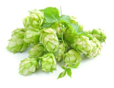 Un tranchilizant natural