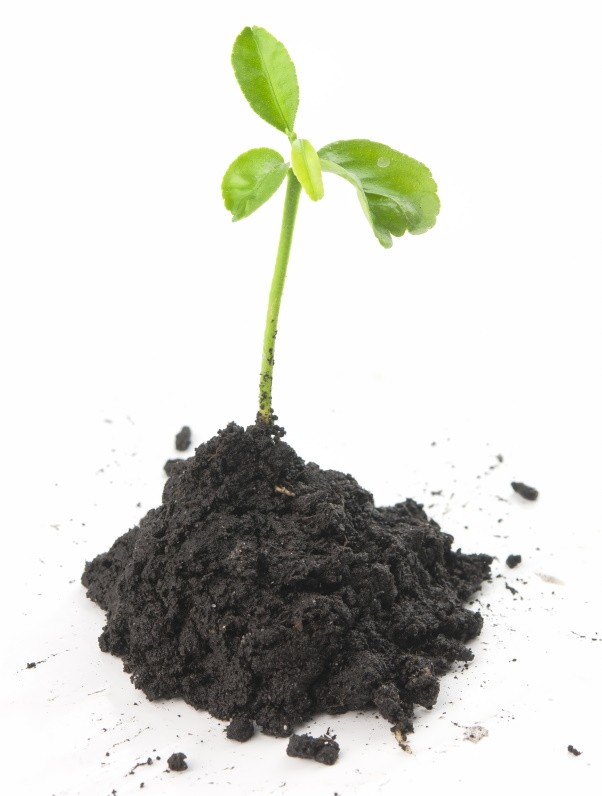 Качество продукции - 3