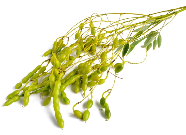 Hista Block (Гиста Блок) - 9