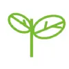 Controlul calității și certificarea suplimentelor alimentare Nature's Sunshine Products - 36